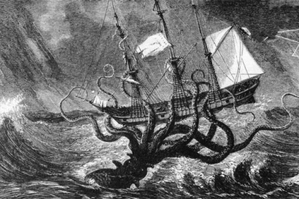 Kraken 12at