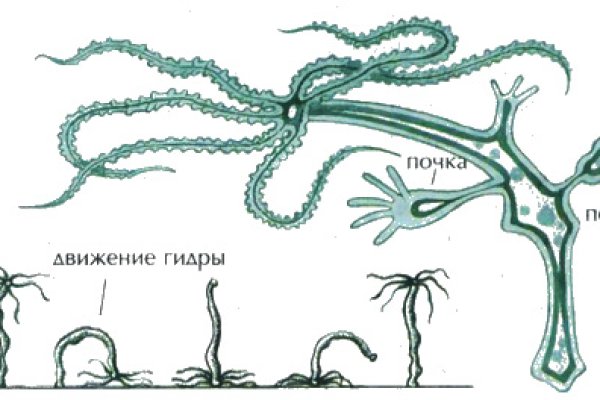 Кракен сайт вход официальный зеркало