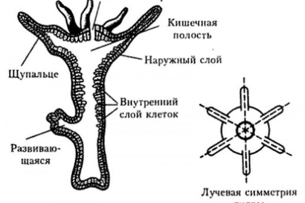 Кракен площадка нарко