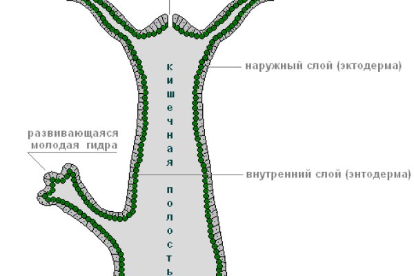 Кракен тор ссылка сегодня