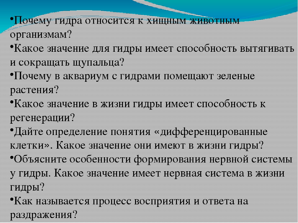 Кракен сайт с наркотиками